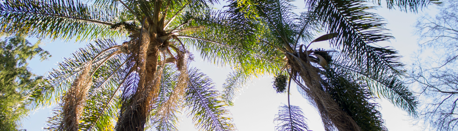 Banner_2