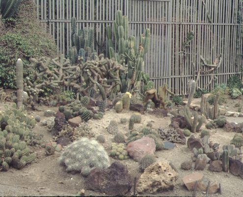 PublicGardens#7MEM00051