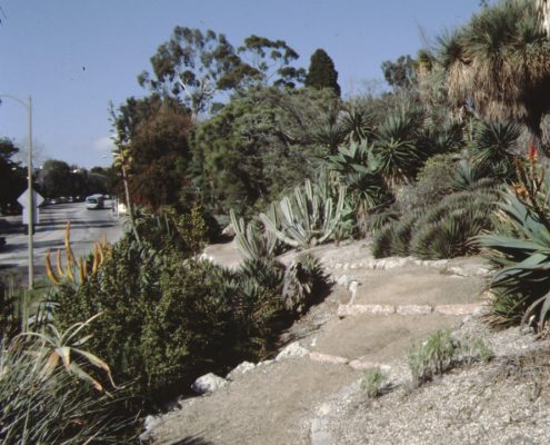PublicGardens#7MEM00088