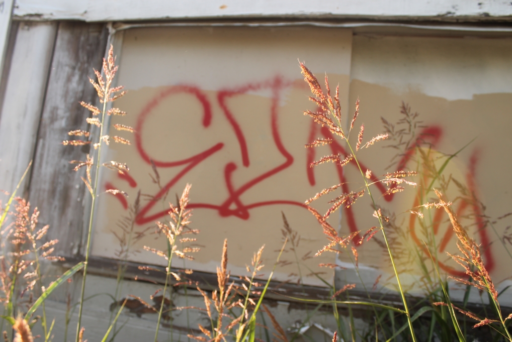 Street Plants
