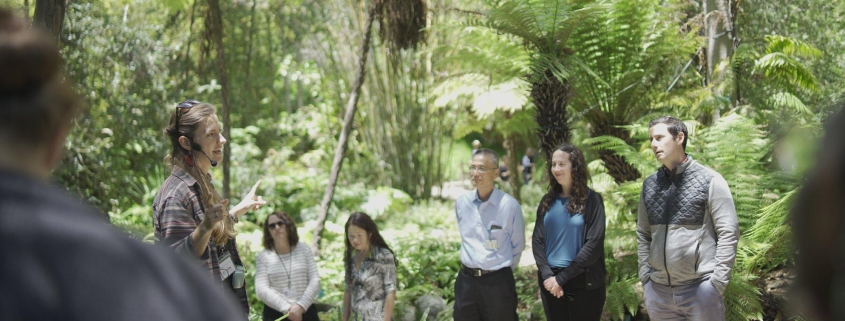 Garden Tour