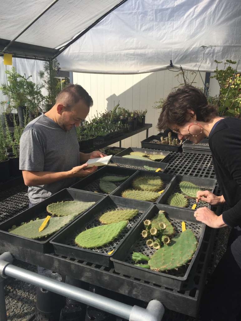 Felipe_Sophie_Cacti