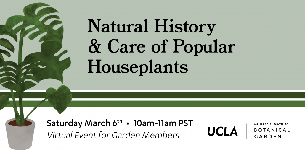 Houseplant Natural History Event