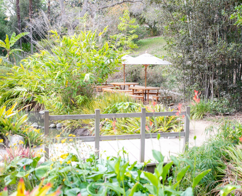 The Stream next to Jewelle Terrace Outdoor Venue Space in Los Angeles