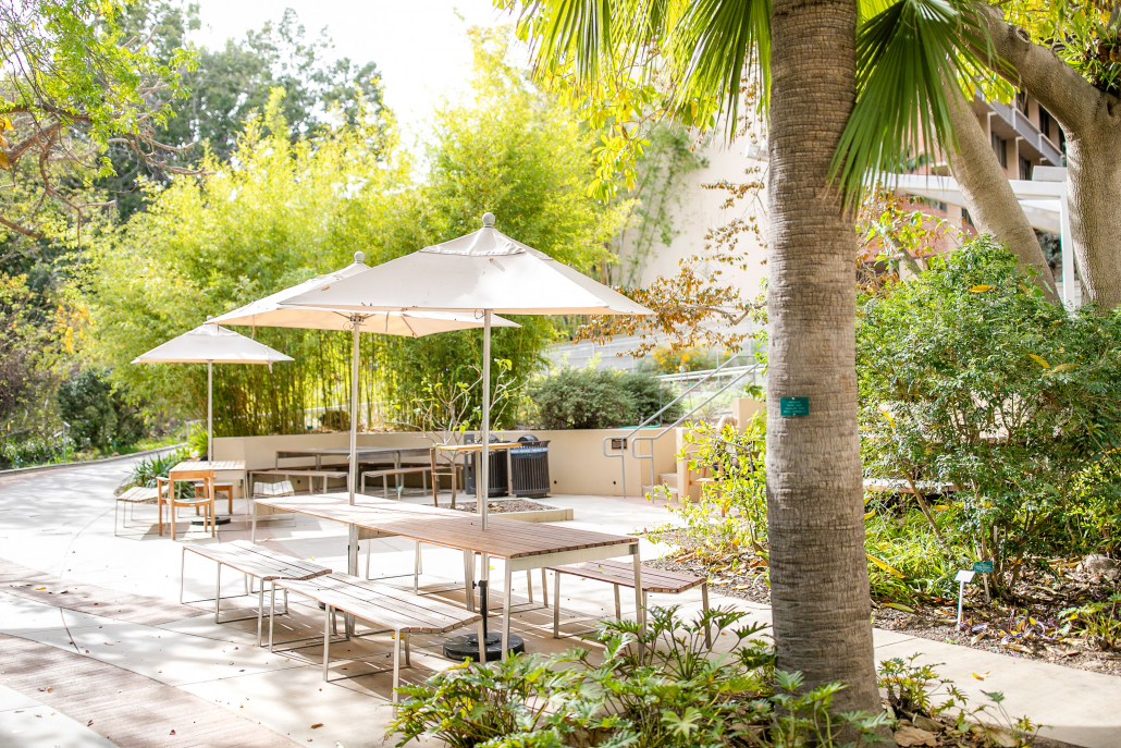 Bright Morning Daylight Los Angeles Outdoor Event Venue