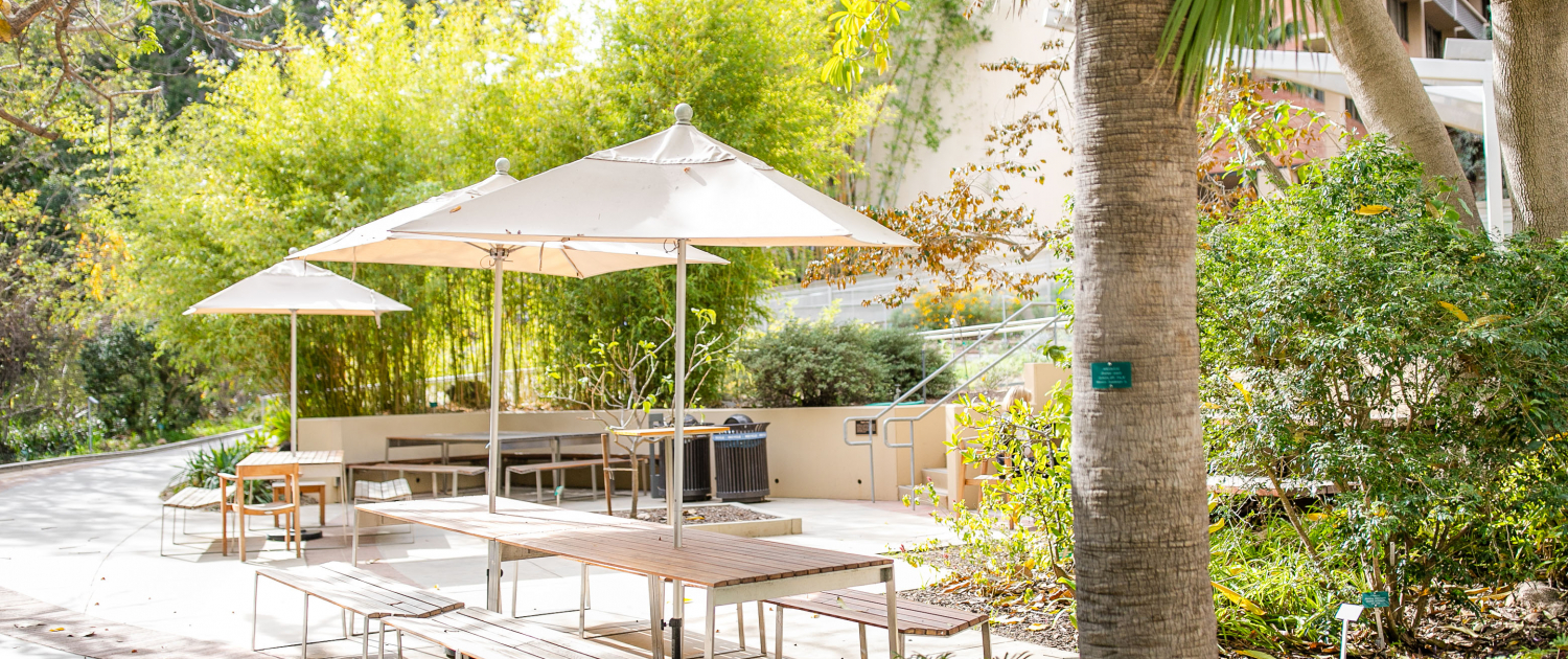 Bright Morning Daylight Los Angeles Outdoor Event Venue