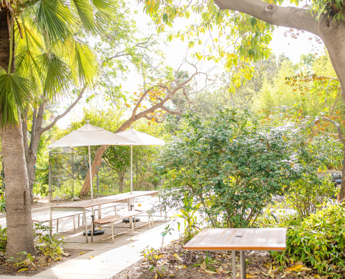 Park’s Patio – Photos by ICR Photography Outdoor Venue Space in Los Angeles