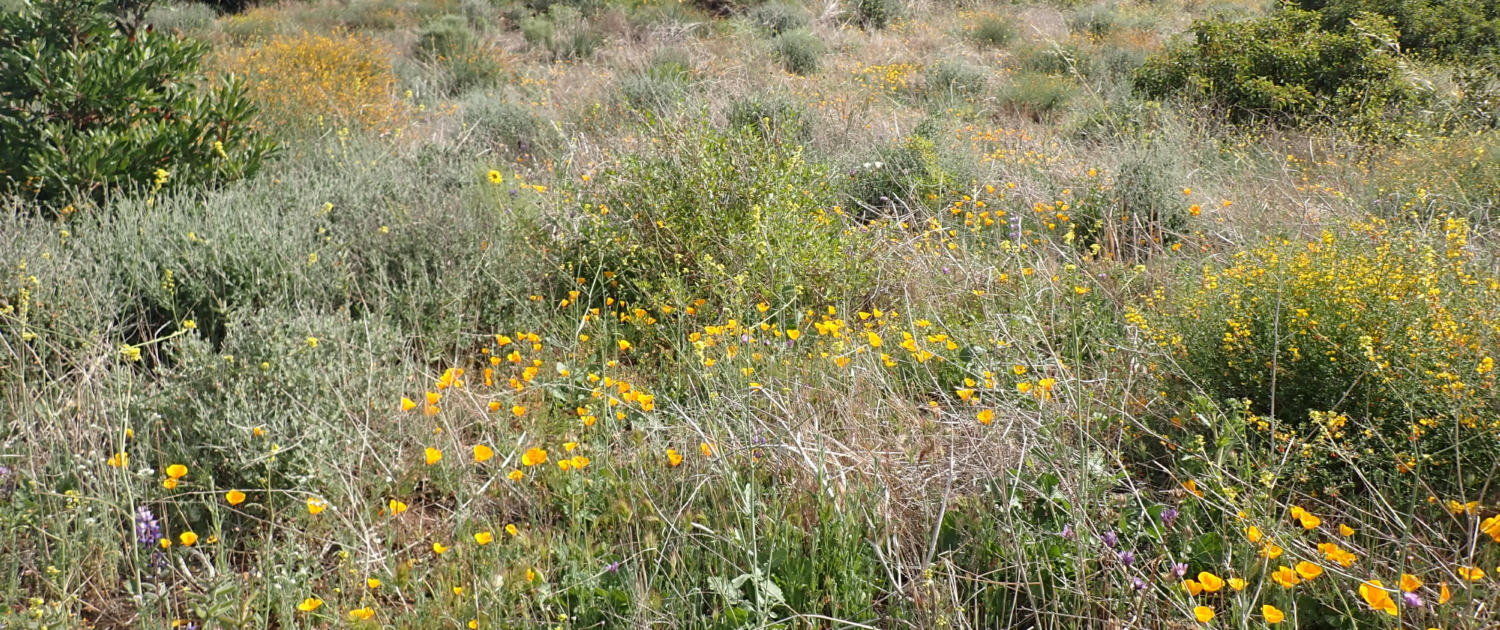 P3212347