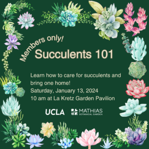 succulent workshop succulent workshop