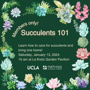 succulent workshop