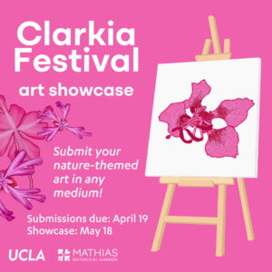 Clarkia Festival Art Show