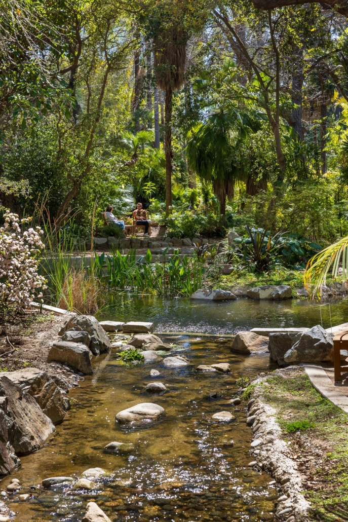Norris Koi Pond