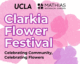 Clarkia Flower Festival Celebrating Community, Celebrating Flowers